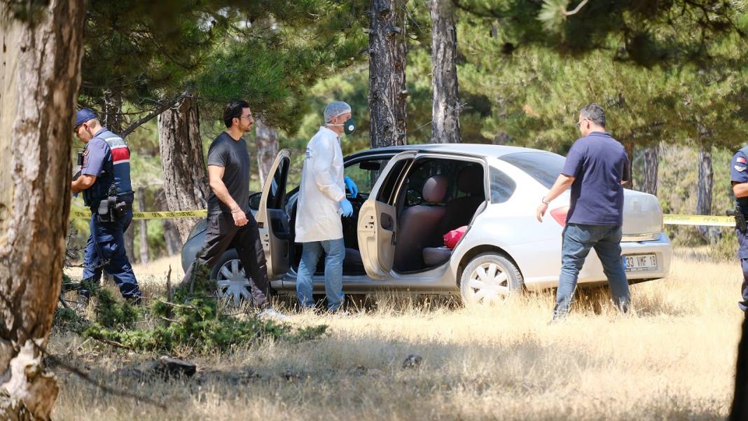 Kayıp olarak aranan kadın ormanda ağaca asılı halde bulundu 3
